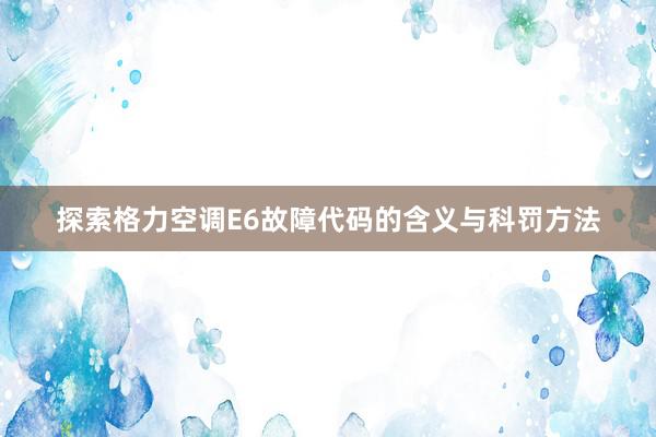 探索格力空调E6故障代码的含义与科罚方法